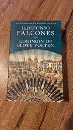 Ildefonso Falcones - Koningin op blote voeten, Boeken, Ophalen of Verzenden, Zo goed als nieuw, Ildefonso Falcones
