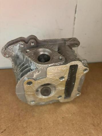 GY6 50cc AGM VX50 / China LX Cilinderkop / kleppen NIEUW beschikbaar voor biedingen