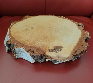 Boomstamschijf Berkenhout Berken Schijf beschikbaar voor biedingen