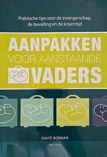 David Borman - Aanpakken voor aanstaande vaders beschikbaar voor biedingen