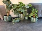 Mooie set met potten van de intratuin., Huis en Inrichting, Woonaccessoires | Kunstplanten en Kunstbloemen, Ophalen of Verzenden