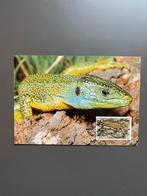 3 Maximumkaarten Jersey, Dieren en Toebehoren