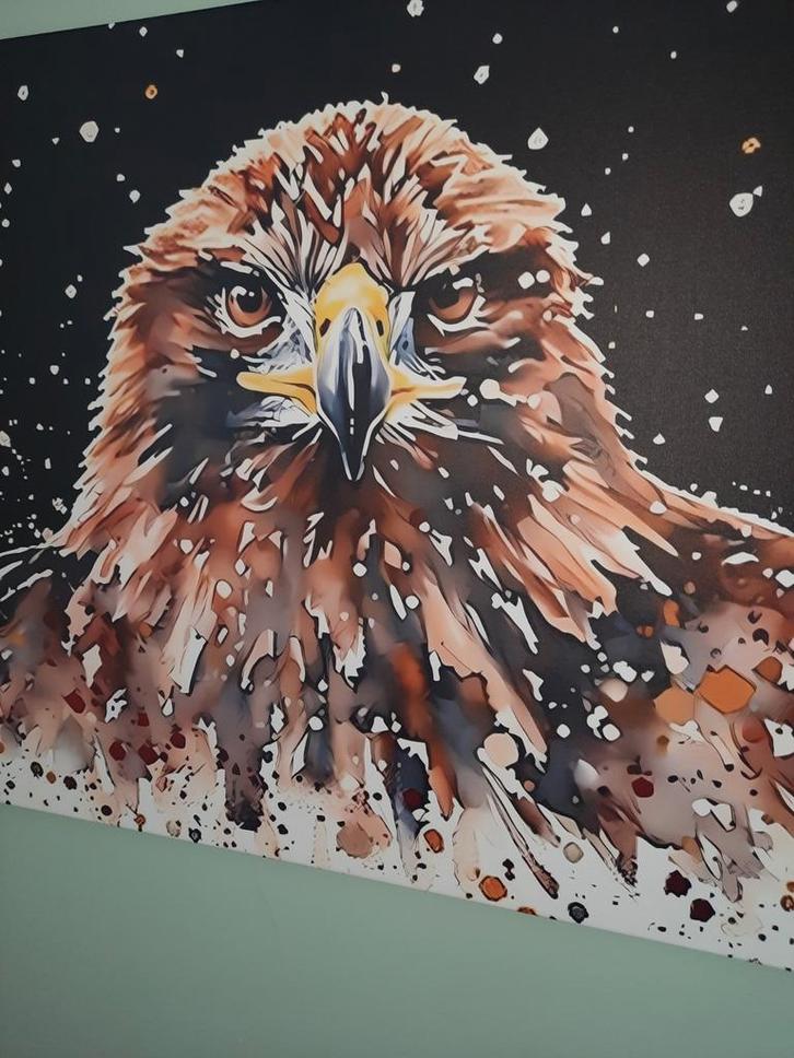 Buizerd Canvas Schilderij, Antiek en Kunst, Kunst | Overige Kunst, Ophalen