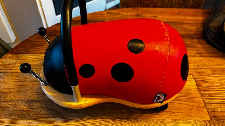 Loopwagentje Lieveheersbeestje - Leuk!, Kinderen en Baby's, Speelgoed | Buiten | Voertuigen en Loopfietsen, Gebruikt, Loopvoertuig