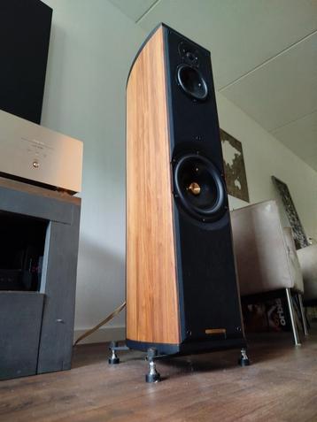 Sonus Faber Liuto  beschikbaar voor biedingen