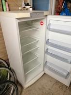 AEG Santo koelkast, Ophalen, 200 liter of meer, 160 cm of meer, Zonder vriesvak