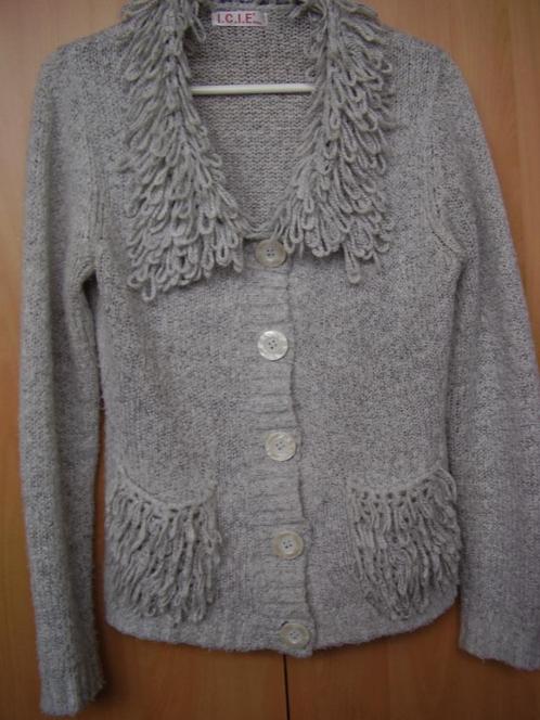 Grijs vest met decoratieve lusjes op kraag en zakken, Kleding | Dames, Truien en Vesten, Gedragen, Maat 38/40 (M), Grijs, Verzenden