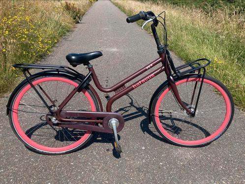 BATAVUS QUIP fiets damesfiets H 50cm transport 3V fietsklaar, Fietsen en Brommers, Fietsen | Dames | Omafietsen, Gebruikt, 50 tot 53 cm