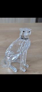 Jachtluipaard, Verzamelen, Swarovski, Ophalen of Verzenden, Zo goed als nieuw, Figuurtje