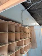 Duivenhok met benodigdheden, Postduif