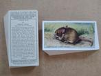 Animals of the Countryside complete set 50 cigarette cards, Verzamelen, Overige Verzamelen, Ophalen