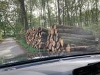Vrachten rondhout, rond de 35 ton. Keuze uit: Beuk, Eik, Es, Stammen, Ophalen of Verzenden, 6 m³ of meer, Overige houtsoorten