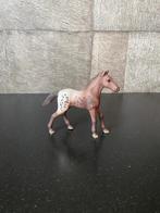Schleich Appaloosa veulen, 13862 - paarden, Ophalen of Verzenden, Gebruikt
