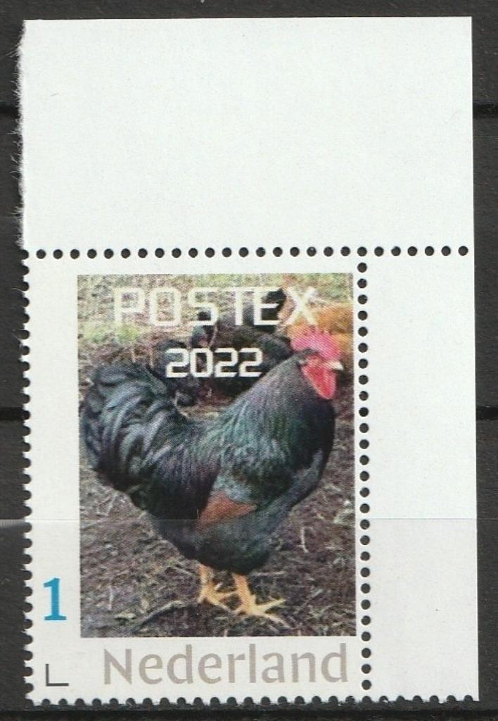 JankPersoonlijke postzegel filatelie Postex 2022 hoekstuk pf, Postzegels en Munten, Postzegels | Nederland, Postfris, Na 1940