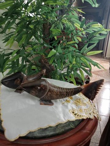 Neushoorn Vissenbeeld beschikbaar voor biedingen