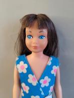 Vintage Europese Barbie Skipper / 1972 - dark Brunette, Ophalen of Verzenden, Gebruikt, Fashion Doll