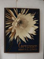 Verkade Album Cactussen door A.J. van Laren, Ophalen of Verzenden, A.J. van Laren