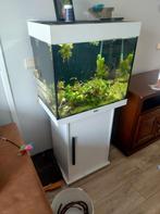 Aquarium Lido 120L, Ophalen, Zo goed als nieuw, Leeg aquarium