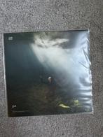 Allie X Cape God, Cd's en Dvd's, Ophalen of Verzenden, 2000 tot heden, Zo goed als nieuw, 12 inch