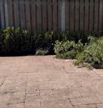 Gratis! Tuin tegels, Ophalen, Gebruikt, Beton, Terrastegels