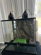 Exo terra terrarium 60x45x60, Dieren en Toebehoren, Reptielen en Amfibieën | Toebehoren, Ophalen, Zo goed als nieuw, Terrarium of Paludarium