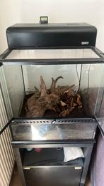 Compleet exo terra terrarium 45x45x45 met kast, Dieren en Toebehoren, Reptielen en Amfibieën | Toebehoren, Ophalen, Zo goed als nieuw