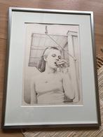 Teun Nijkamp The Hot Dog (61e druk), Antiek en Kunst, Ophalen