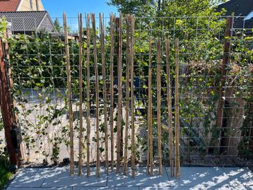 Bamboestokken 210cm & 180cm beschikbaar voor biedingen