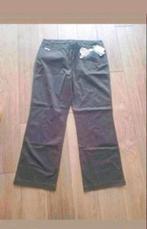 Nieuw Dollywood broek, Bruin, Maat 46/48 (XL) of groter, Nieuw, Ophalen of Verzenden