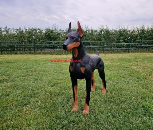 Dobermann   Mechelaar   Duitse-dog   Poedel  Franse-buldog, Tuin en Terras, Tuinbeelden, Nieuw, Dierenbeeld, Kunststof, Verzenden