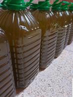 Puur olijfolie deze week 2025 binnen gekomen uit Marokko, Ophalen of Verzenden, Nieuw, Overige typen