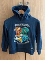 Harry Potter Trui Maat 134-140, Kinderen en Baby's, Ophalen of Verzenden, Zo goed als nieuw, Jongen of Meisje, Trui of Vest