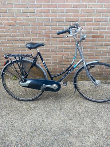 Goede nette gazelle primeur D57cm  beschikbaar voor biedingen