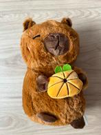Schattige Knuffel capibara met Pompoen, Kinderen en Baby's, Speelgoed | Knuffels en Pluche, Ophalen of Verzenden, Zo goed als nieuw
