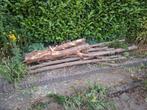 Taxus draaihout diverse diktes, Ophalen, Minder dan 25 mm, Nieuw, Plank