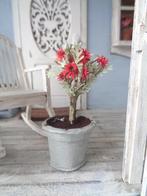 Plant in brocante pot....Poppenhuis 1:12... (Nr F15)*, Ophalen of Verzenden, Nieuw, Poppenhuis