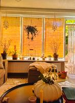 4 bamboe rolgordijnen, Overige kleuren, 200 cm of meer, Nieuw, 50 tot 100 cm