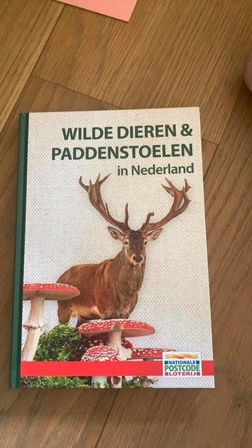 Wilde dieren & Paddestoelen beschikbaar voor biedingen