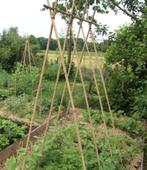 Moestuin met kasje , volkstuintje, Tuin en Terras, Ophalen