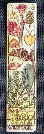 BOEKENLEGGERS NATUUR en nog andere, Ophalen of Verzenden, Nieuw, Overige onderwerpen