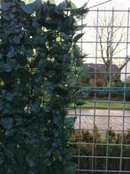 Hedera klimop kunsthaag tuinscherm 100x300cm, Nieuw, 200 cm of meer, 100 tot 150 cm, Kunststof