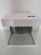 Superfish Panorama 20 led . (17 liter) Wit, Ophalen, Gebruikt, Leeg aquarium
