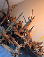 Grote partij kienhout / driftwood / spiderwood - aquarium, Ophalen of Verzenden, Zo goed als nieuw, Plant(en), Steen of Hout