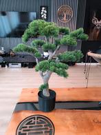 Grote Kunst Bonsai Boom - 65 x 55 cm, Huis en Inrichting, Kamerplanten, In pot, Minder dan 100 cm, Bonsai, Groene kamerplant