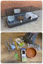 Cavia kooi(zgan) 118x58x50 cm met extras zoals tunnel, wc., Kooi, 110 cm of meer, Zo goed als nieuw, Cavia