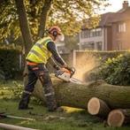 Gratis bomen omzagen inruil voor het hout, Tuin en Terras, Haardhout, Ophalen