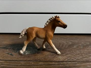 Schleich veulentje beschikbaar voor biedingen