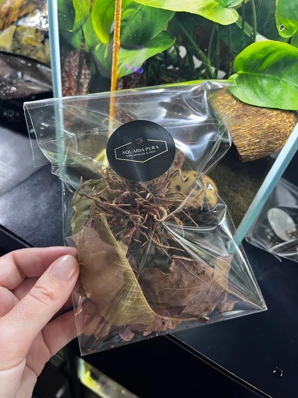 Herfstmix basic of luxe, Dieren en Toebehoren, Vissen | Aquariumvissen