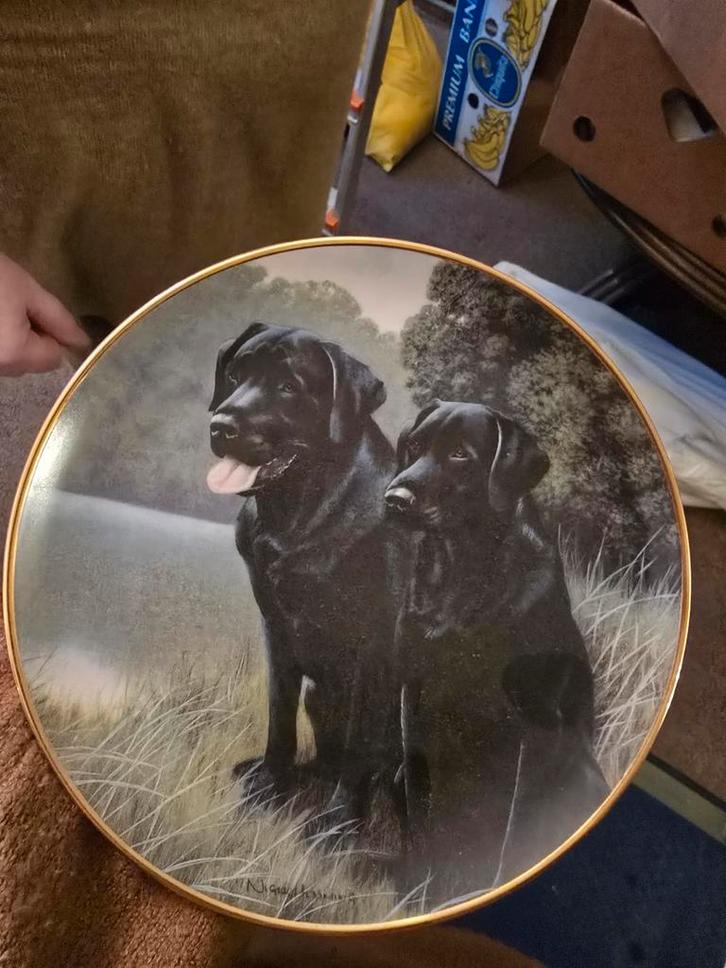 Franklin Mint Wandbord Sporting Companions Labradors, Antiek en Kunst, Antiek | Wandborden en Tegels, Ophalen of Verzenden