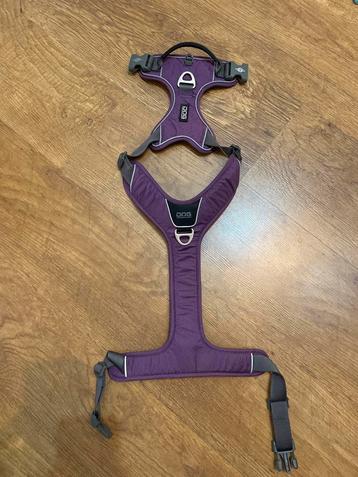 DOG copenhagen Harnas maat L Paars beschikbaar voor biedingen